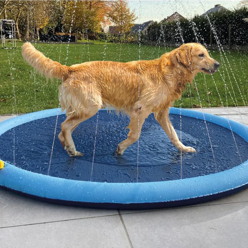 A Splash Pad, amely boldoggá teszi a kölyköt!